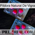 Píldora Natural De Vigra 14